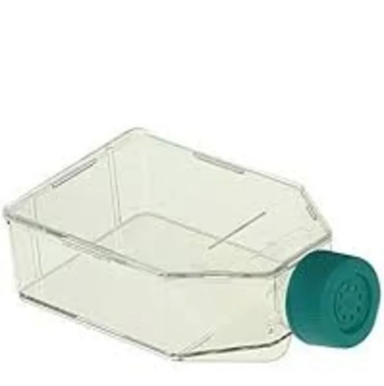 فلاسک کشت سلول SPL فیلتر دار T75